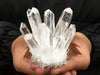 1391 clear quartz crystal cluster 1391 crystals sydney australia