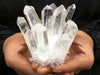 1391 clear quartz crystal cluster 1391 crystals sydney australia