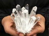 1391 clear quartz crystal cluster 1391 crystals sydney australia