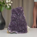 Extra Large Amethyst Cluster 1393